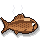 Cooked Dullfish