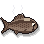 Cooked Shadowfish
