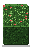 Holly Hedge
