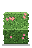 Rose Hedge