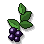 Nightshade