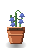 Bluebell