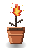 Dragon's Breath