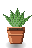 Fern Frond