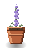 Lavender Sprig