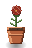 Mahogany