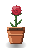 Red Rose