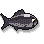 Shadowfish